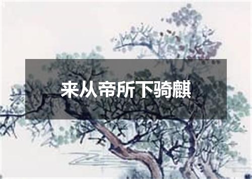 来从帝所下骑麒