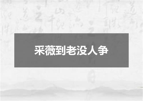 采薇到老没人争