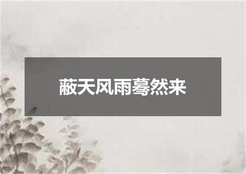 蔽天风雨蓦然来