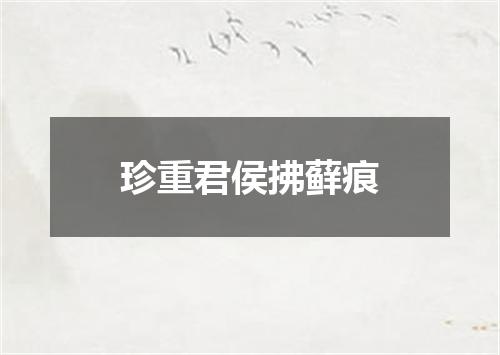 珍重君侯拂藓痕