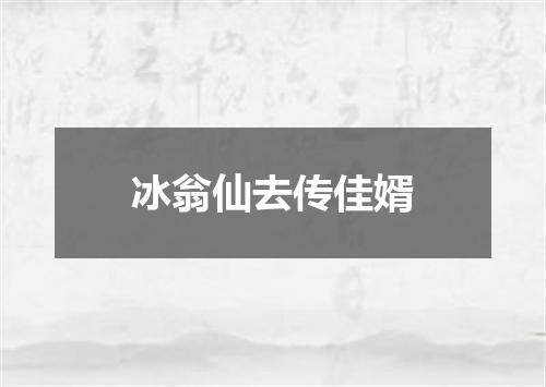 冰翁仙去传佳婿