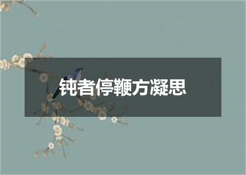 钝者停鞭方凝思