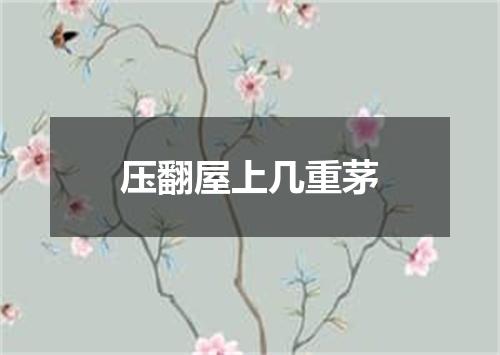 压翻屋上几重茅