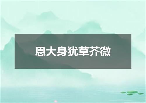 恩大身犹草芥微