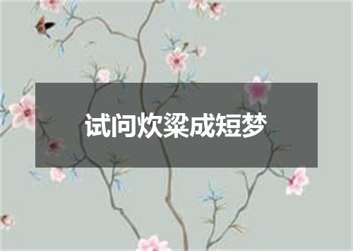试问炊粱成短梦