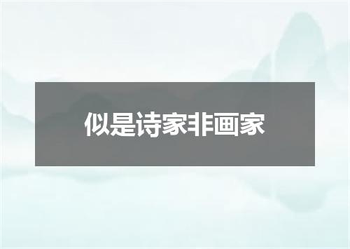 似是诗家非画家