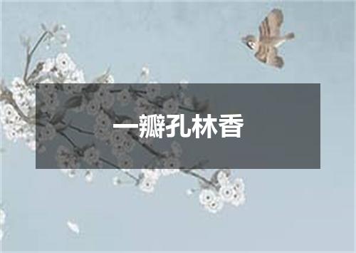 一瓣孔林香