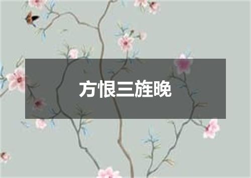 方恨三旌晚