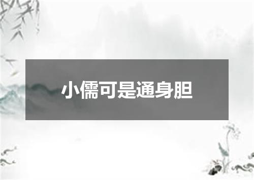 小儒可是通身胆