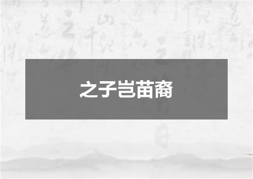 之子岂苗裔