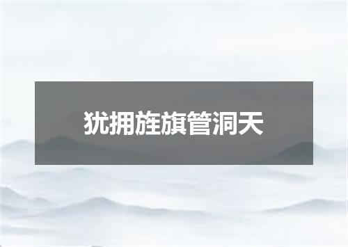 犹拥旌旗管洞天