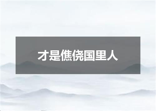 才是僬侥国里人