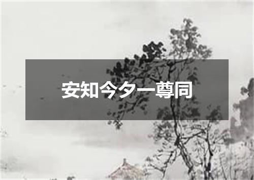 安知今夕一尊同