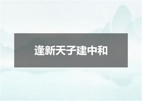逢新天子建中和