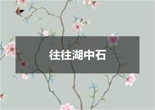 往往湖中石