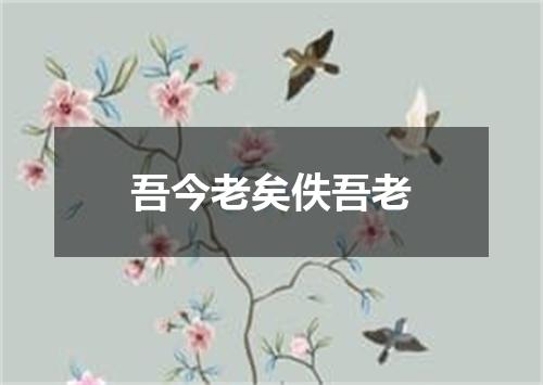 吾今老矣佚吾老