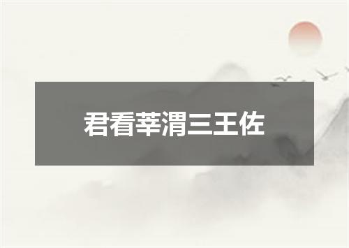 君看莘渭三王佐