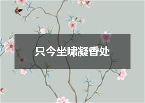 只今坐啸凝香处