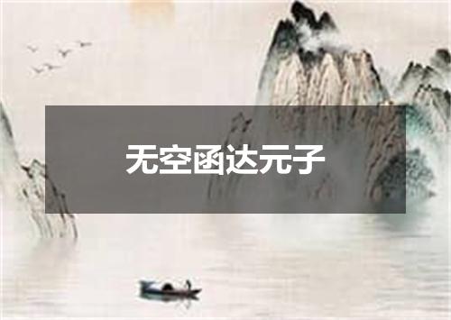 无空函达元子