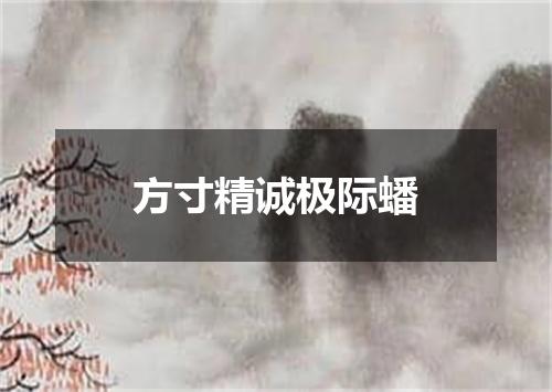 方寸精诚极际蟠