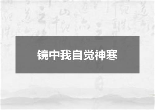 镜中我自觉神寒