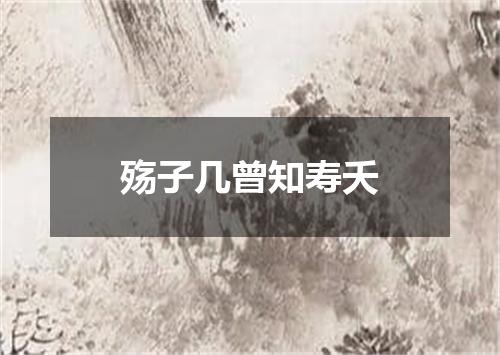殇子几曾知寿夭