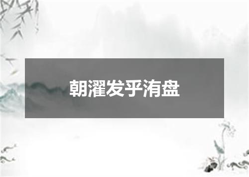 朝濯发乎洧盘