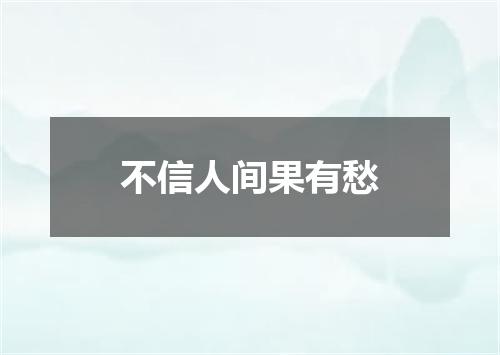 不信人间果有愁