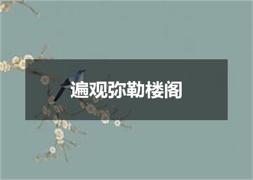 遍观弥勒楼阁