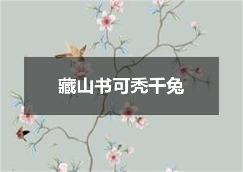 藏山书可秃千兔