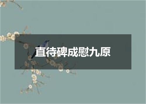 直待碑成慰九原