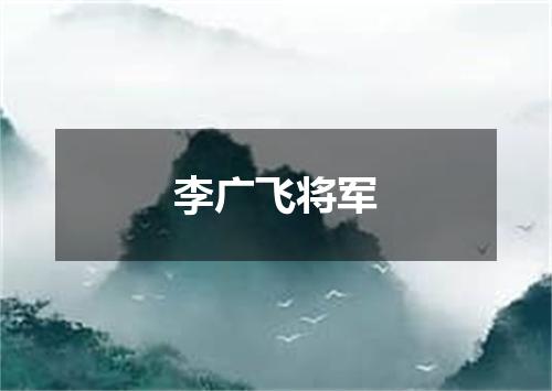 李广飞将军