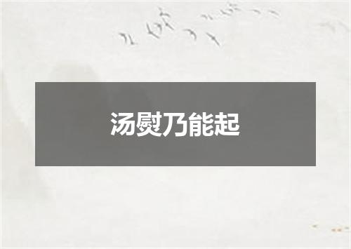 汤熨乃能起