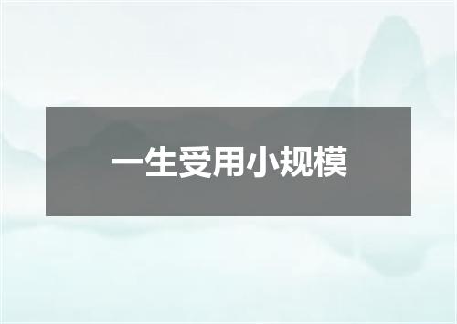 一生受用小规模