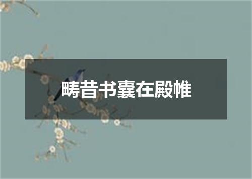 畴昔书囊在殿帷