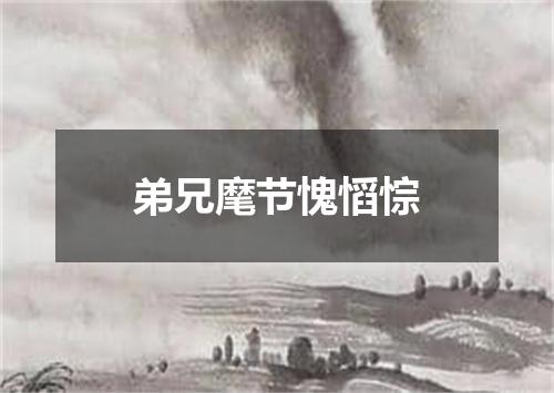 弟兄麾节愧慆悰