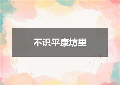 不识平康坊里