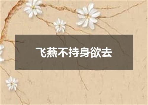 飞燕不持身欲去