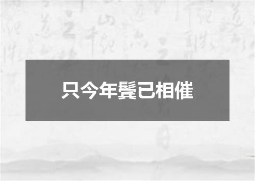 只今年鬓已相催