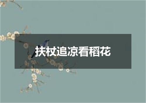 扶杖追凉看稻花