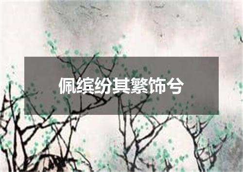 佩缤纷其繁饰兮