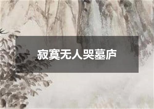 寂寞无人哭墓庐