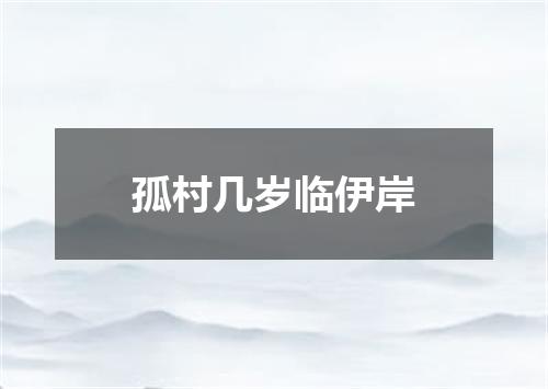 孤村几岁临伊岸