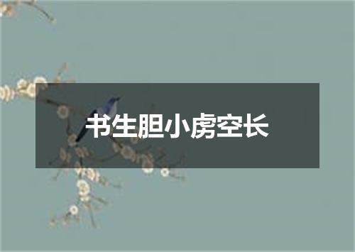 书生胆小虏空长