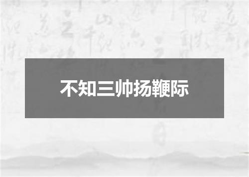 不知三帅扬鞭际