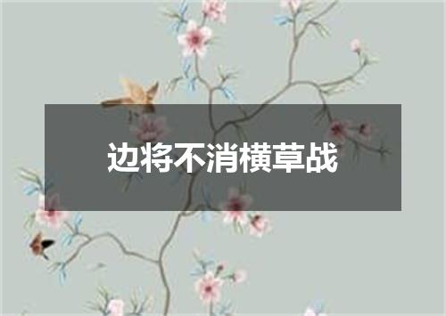 边将不消横草战
