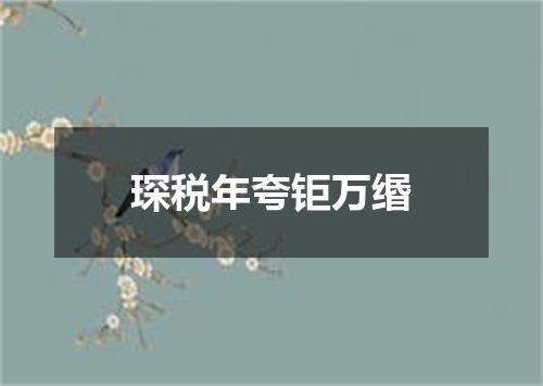琛税年夸钜万缗