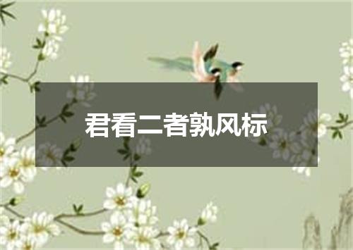君看二者孰风标