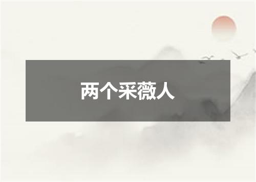 两个采薇人