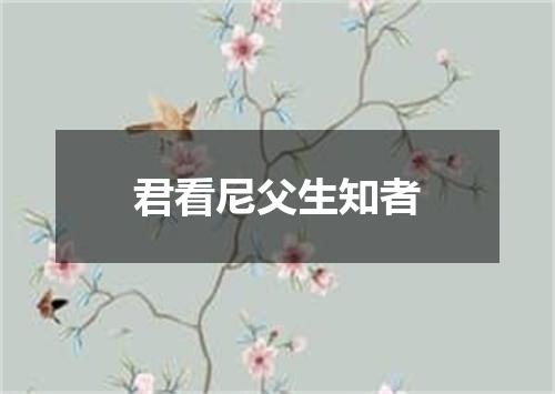 君看尼父生知者